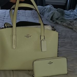Coach Handbag and Wallet
